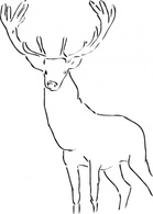 Outline Deer Wild Animal Mammal Stag Antlers