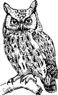 Owl clip art