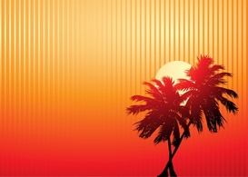 Palm Trees Sunset