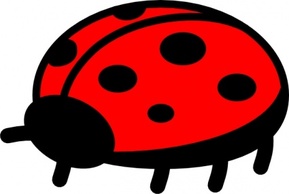 Peterm Ladybug clip art