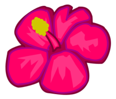 Pink flower