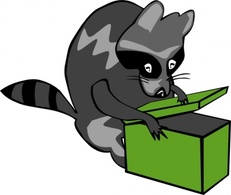 Raccoon Opening Box clip art