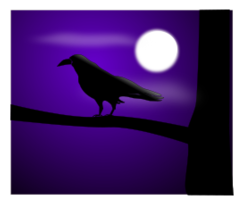 Raven Illustration