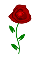 Red Rose