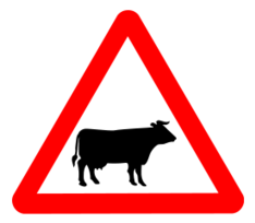 Roadsign Cattle