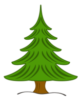 Sapin 03