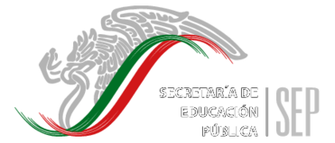 Secretaria De Educacion Publica