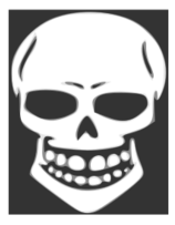 Skull human X-ray