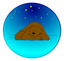 Sleeping bear under the stars