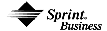 Sprint Business