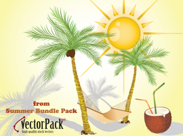 Summer Bundle Free Samples