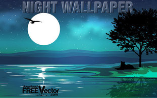 Vector Night Wallpaper