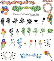 Vectors - Flowers set