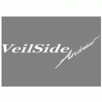 VeilSide Andrew Racing