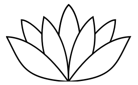 White Lotus Flower