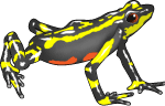 Yellow Frog Vector Image