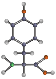 Tyrosine (amino acid)